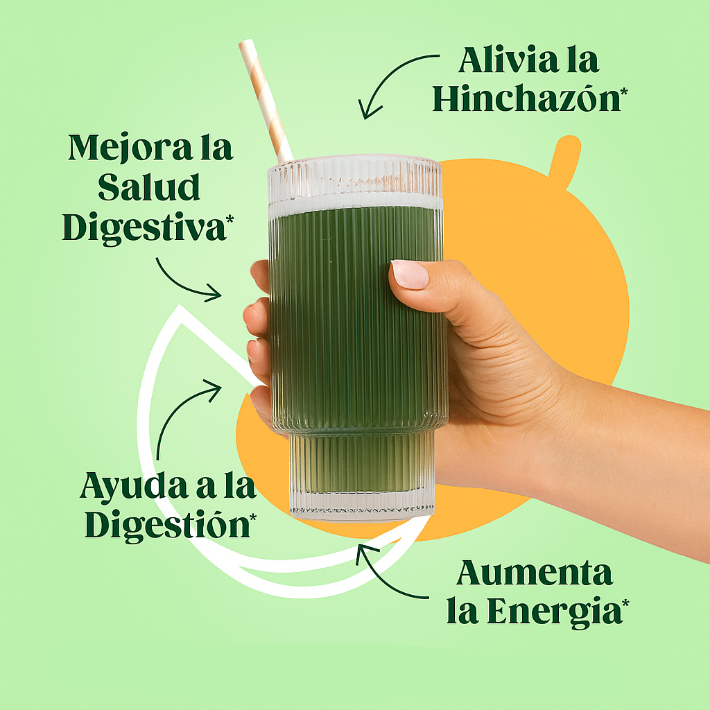 Bloom Super Alimento Transforma Tu Salud Intestinal