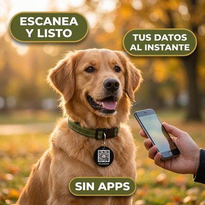 Placa QR Para Perros – Si Se Pierde, Vuelve A Casa